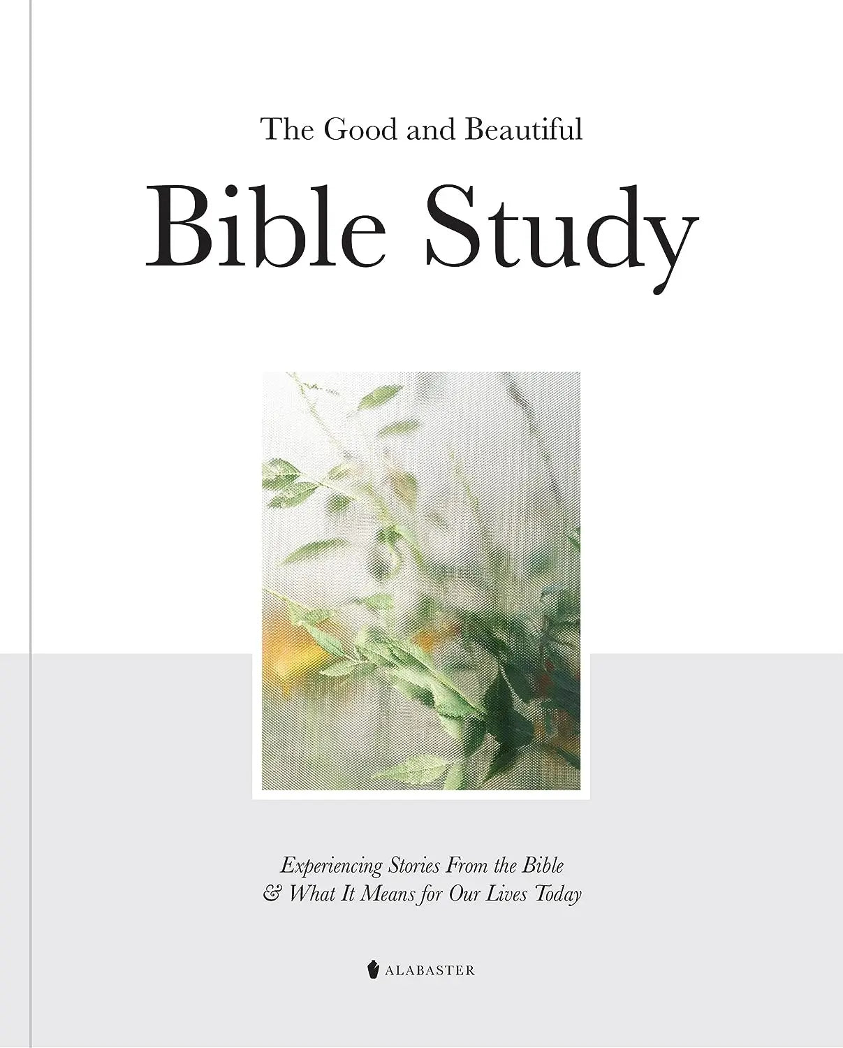 The Good And Beautiful Bible Study: Experiencing Stories From The Bible And What It Means For Our Lives Today